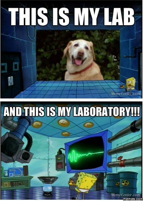 pilatus - This Is My Lab MemeCenter.com And This Is My Laboratory!!! MemeCenter.com memes.com