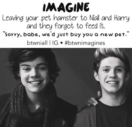 cringey 1d imagines - Imagine Leaving your pet hamster to Niall and Harry and they forgot to feed it. "Sorry, babe, we'd just buy you a new pet." btwniall I Ig.