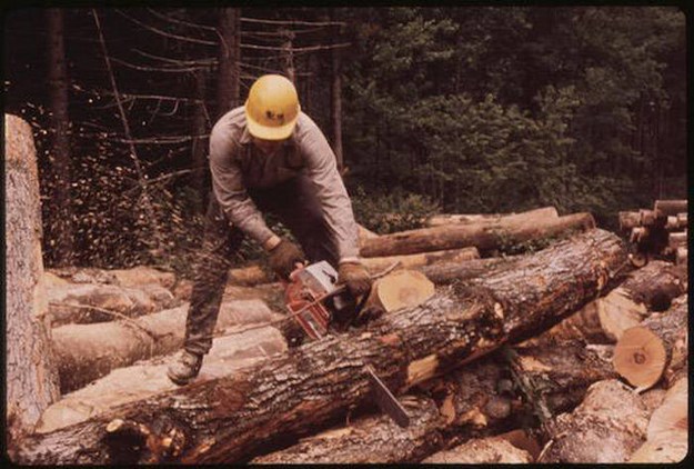 Lumberjack – $43,000/year