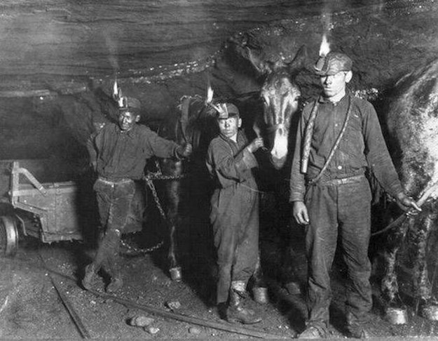 Miner – $56,000/year