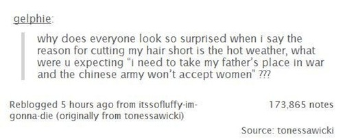 tumblr - questions funny - gelphie why does everyone look so surprised when i say the reason for cutting my hair short is the hot weather, what were u expecting "i need to take my father's place in war and the chinese army won't accept women" m 173,865 no