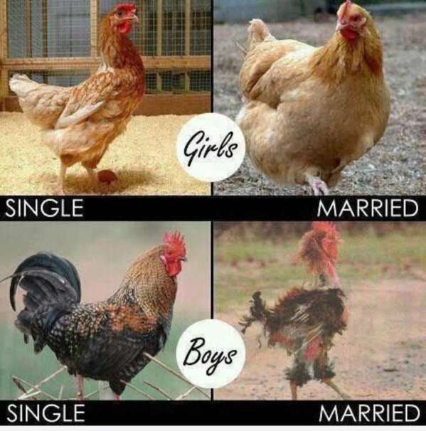 Single Life Vs Married Life