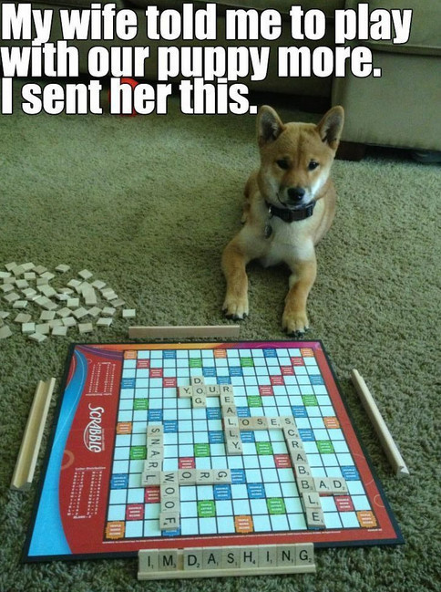 union station - My wife told me to play with our puppy more. I sent her this. Y. Our Ww Scrabble O W Hisnarl Lui Woo, F. 00 Ad I, M, D, A s H, I, N, G,