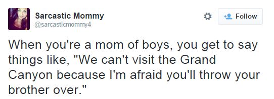 parenting modern seinfeld twitter - Sarcastic Mommy When you're a mom of boys, you get to say things , "We can't visit the Grand Canyon because I'm afraid you'll throw your brother over."