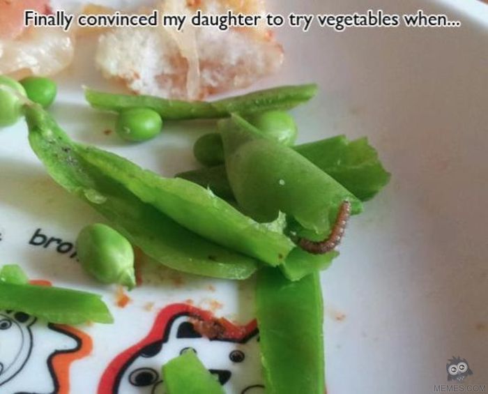 funny people having a bad day - Finally convinced my daughter to try vegetables when... broj Memes.Com