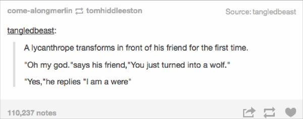 19 Tumblr Puns That Will Make You Extremely Angry About Everything