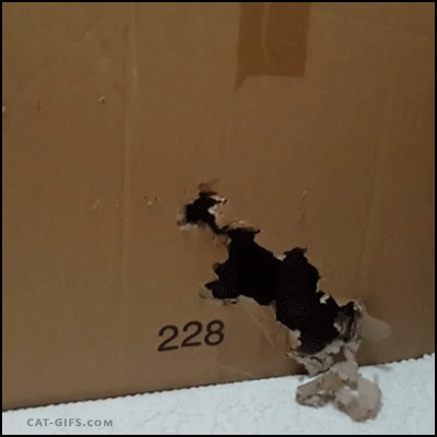 funny workday end gif - 228 CatGifs.Com