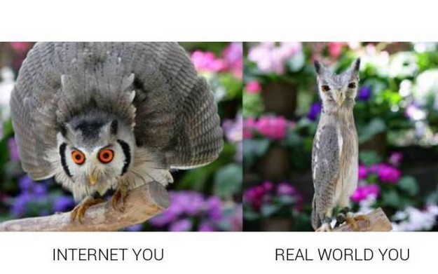 Internet You Vs. Real You