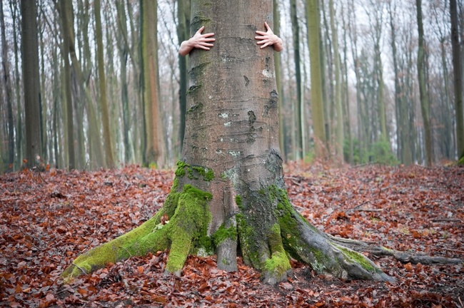 28 Signs You're A Tree-Hugging Dirt-Worshipper