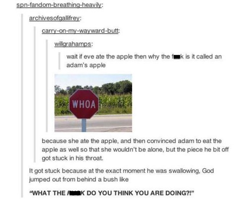 tumblr - history tumblr funny - spnfandombreathingheavily archivesofgallifrey carryonmywaywardbutt willorahamps wait if eve ate the apple then why the fk is it called an adam's apple Whoa because she ate the apple, and then convinced adam to eat the apple