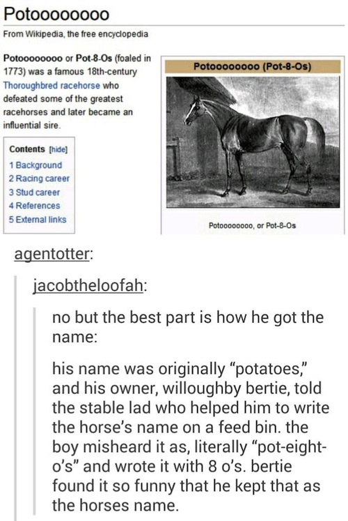 tumblr - potoooooooo horse - Potooooo000 From Wikipedia, the free encyclopedia Potoooooooo Pot8Os Potoooooooo or Pot8Os foaled in 1773 was a famous 18thcentury Thoroughbred racehorse who defeated some of the greatest racehorses and later became an influen