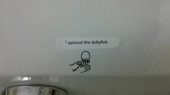 applaud the jellyfish - Applaud the Jellyfish