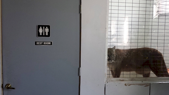 signs - Rest Room