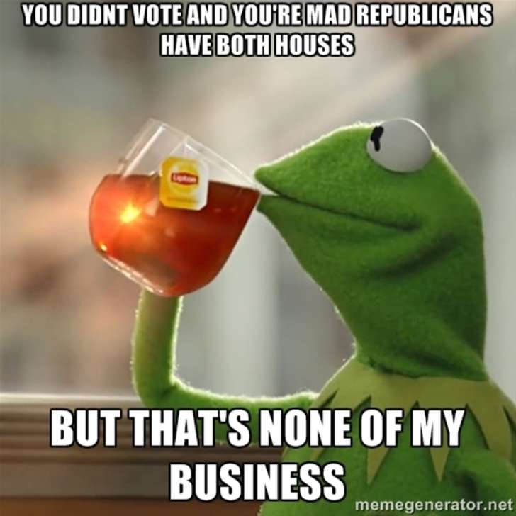joke memes - You Didnt Vote And You'Re Mad Republicans Have Both Houses But That'S None Of My Business memegenerator.net