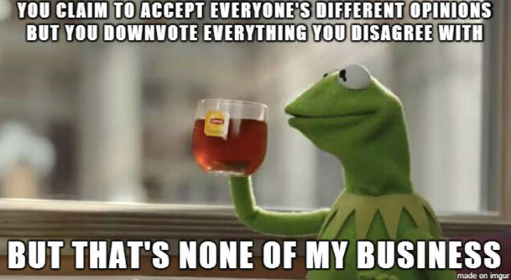 vagina meme - You Claim To Accept Everyone'S Different Opinions But You Downvote Everything You Disagree With But That'S None Of My Business made on imgur