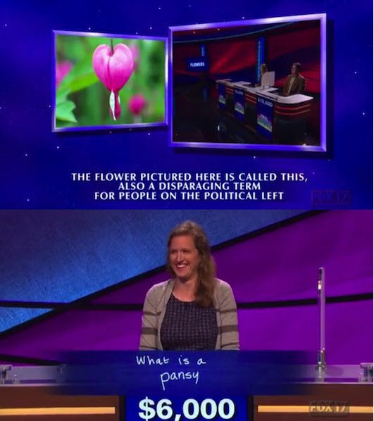 television program - The Flower Pictured Here Is Called This, Also A Disparaging Term For People On The Political Left What is a pansy $6,000