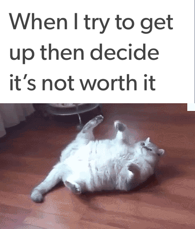tumblr -funny cat tumblr post - When I try to get up then decide it's not worth it