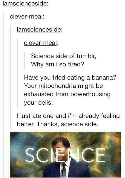 tumblr -funny tumblr science posts - iamscienceside clevermeal iamscienceside clevermeal Science side of tumblr, Why am i so tired? Have you tried eating a banana? Your mitochondria might be exhausted from powerhousing your cells. I just ate one and i'm a