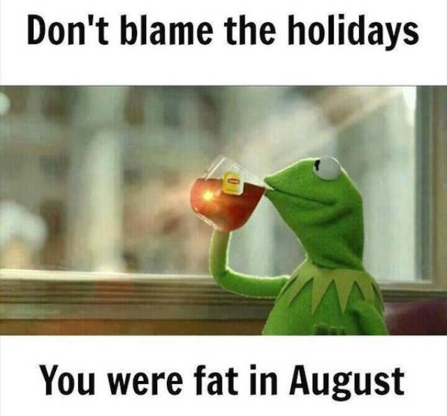 memes - you were fat in august - Don't blame the holidays You were fat in August