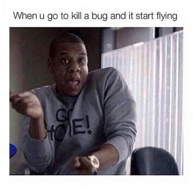 memes - funny jay z - When u go to kill a bug and it start flying