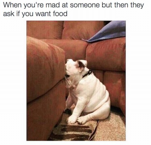 bad dog funny - When you're mad at someone but then they ask if you want food