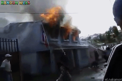 Gifs That Will Make Your Day