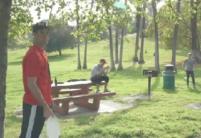 Gifs That Will Make Your Day