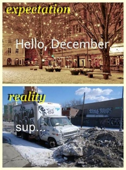 winter expectation vs reality - expectation ! Hello, December Paula Te Etende reality Ran sup.