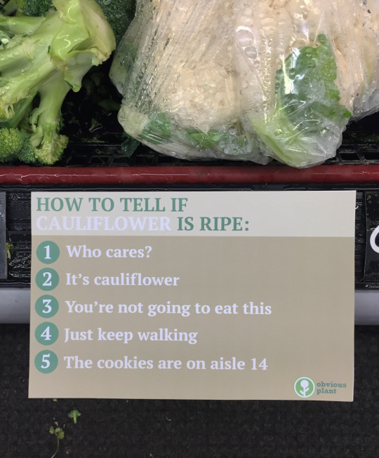 tell if cauliflower is ripe - How To Tell If Cauliflower Is Ripe 1 Who cares? 2 It's cauliflower 3 You're not going to eat this 4 Just keep walking 5 The cookies are on aisle 14 obvious
