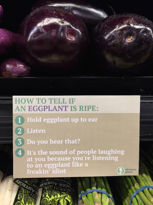 Humour - How To Tell If An Eggplant Is Ripe 1 Hold eggplant up to ear 2 Listen 3 Do you hear that? 4 It's the sound of people laughing at you because you're listening to an eggplant a freakin' idiot $9.3dsy. Ods