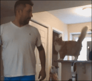 End Of The Work Week Gifs
