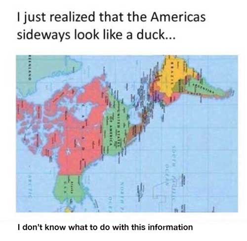 tumblr - america sideways looks like a duck - I just realized that the Americas sideways look a duck... I don't know what to do with this information