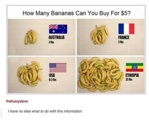 tumblr - have no idea what to do - How Many Bananas Can You Buy For $5? Australia Jlbs France 5 lbs Ethiopia 25s 5 thefuzzydave I have no idea what to do with this information