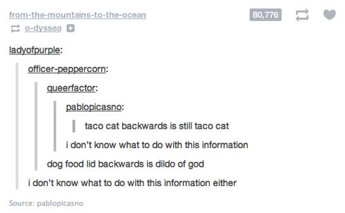 tumblr - don t know what to do - fromthemountainstotheocean odyssea 80,776 ladyofpurple officerpeppercorn queerfactor pablopicasno taco cat backwards is still taco cat I don't know what to do with this information dog food lid backwards is dildo of god I 