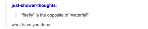 tumblr - design - justshowerthoughts "firefly" is the opposite of "waterfall" what have you done