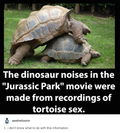 tumblr - don t know what to do - The dinosaur noises in the "Jurassic Park" movie were made from recordings of tortoise sex. $ aestheticerin L. i don't know what to do with this information.