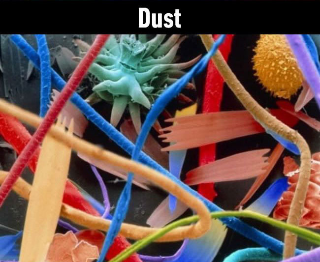 25 Stunning Photographs of Everyday Things Under A Microscope