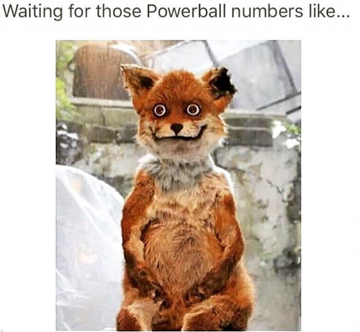 lowkey wanna die - Waiting for those Powerball numbers ... O O