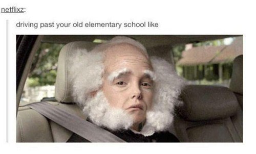 memes - little girl martin van buren - netflixz driving past your old elementary school D