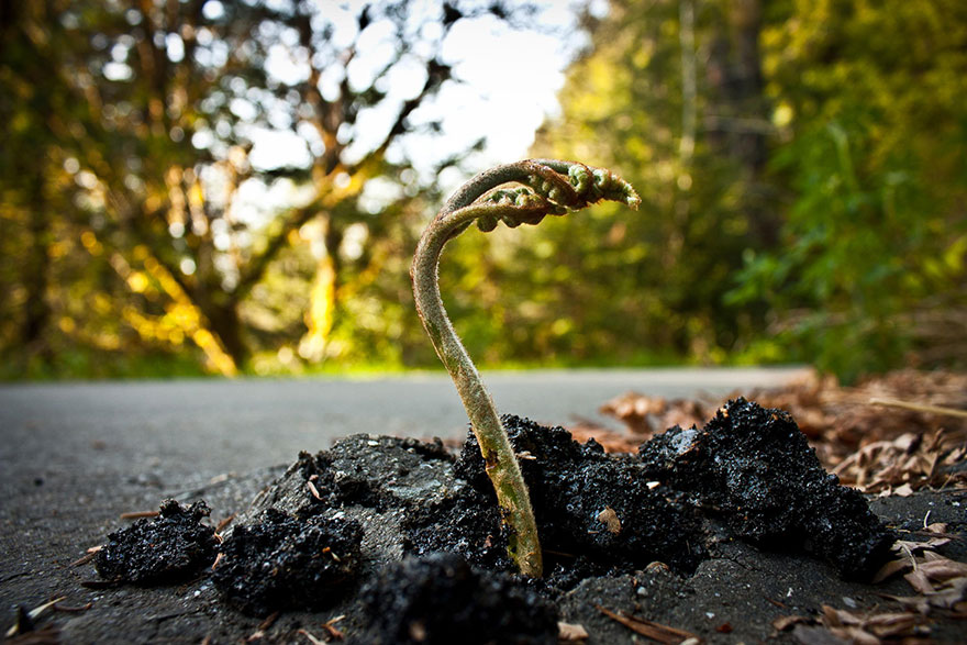 Here Are 25 Incredible Signs That We Will Always Lose To Nature.