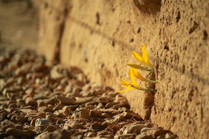 Here Are 25 Incredible Signs That We Will Always Lose To Nature.