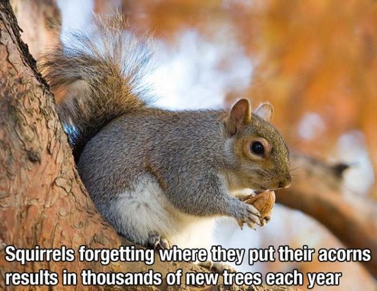 Happy Facts That Will Brighten Your Day