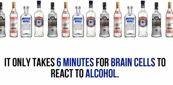 water - Poliako It Only Takes 6 Minutes For Brain Cells To React To Alcohol.