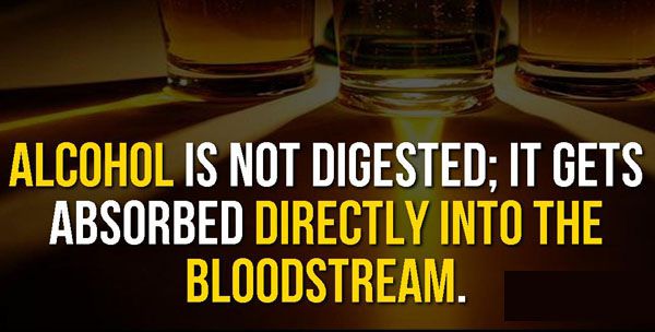 awkward moment - Alcohol Is Not Digested; It Gets Absorbed Directly Into The Bloodstream.