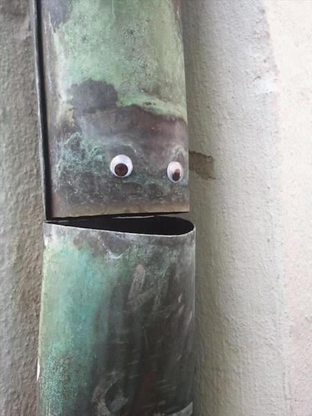 19 Things Drastically Improved by Adding Googly Eyes to Them