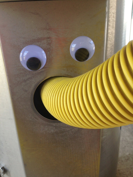 19 Things Drastically Improved by Adding Googly Eyes to Them