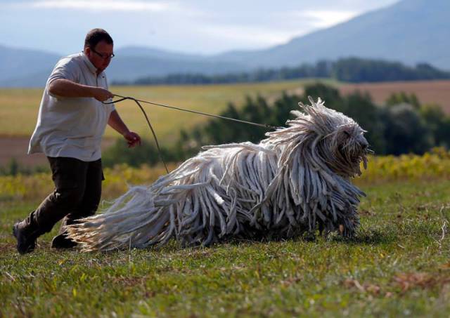 Amazing Photos That Have Really Not Been Photoshopped