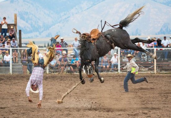 Perfectly timed funny sporting moments