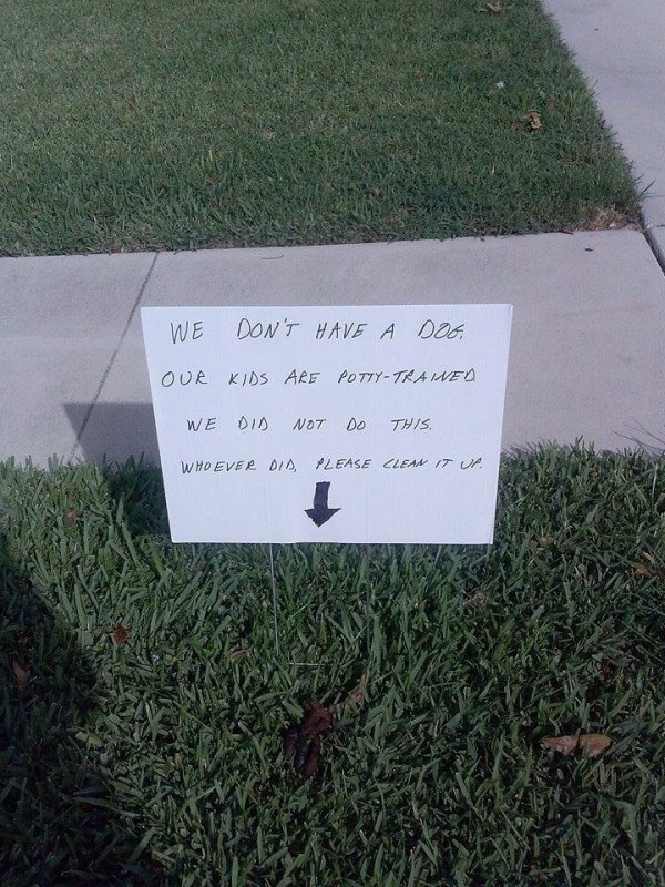 neighbors lawn meme - We Don'T Have A Dog. Our Kids Are PottyTrained We Did Not Do This. Whoever Did, Please Clem It Up