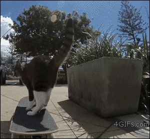 Gifs To Take You Into The Weekend